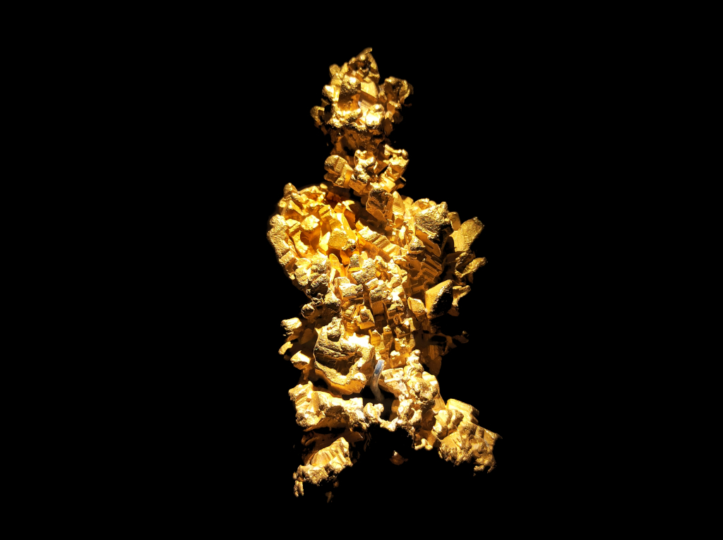 Photograph of a latrobe gold nugget made of rare crystallized gold at the Natural History Museum, London, United Kingdom.